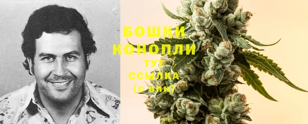 прущие крисы Абаза